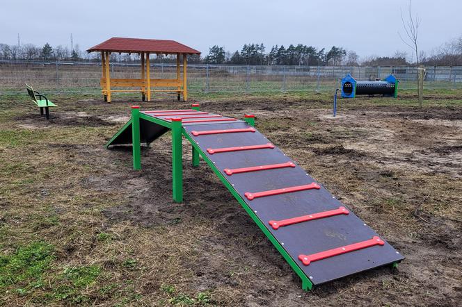 Czworonożni mieszkańcy Piły otrzymali wyjątkowy prezent na święta