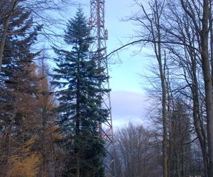 Magura Małastowska