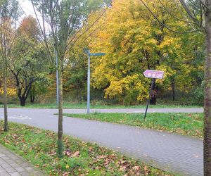 To najpiękniejszy park miejski w Olsztynie według AI. Zajmuje niemal 13 hektarów!