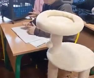 Dzień bez plecaka w warszawskiej szkole