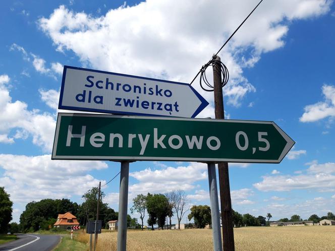 Pokochać na zawsze. Schronisko dla bezdomnych zwierząt w Henrykowie koło Leszna