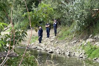 Tragiczny finał poszukiwania 24-letniej studentki. Klaudia zaginęła 8 miesięcy temu