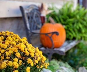 Jesienne dekoracje balkonu i tarasu