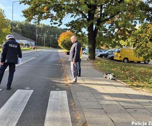 Zielona Góra. Basia miała tylko 14 lat, zginęła potrącona przez seata. Poruszający widok na miejscu tragedii