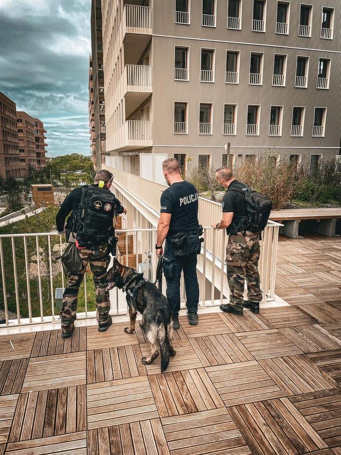 Polscy policjanci jadą pilnować porządku we Francji! Mowa jest o milionach ludzi