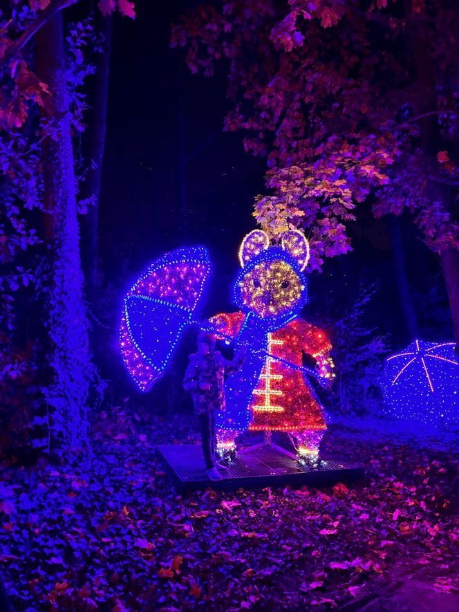 Lumina Park Poznań w święta 