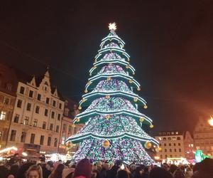 Choinka na wrocławskim rynku po zmroku. Ładna? [ZDJĘCIA, FILMY] 