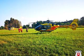 Śmierć na granicy dwóch województw! Tragiczny wypadek koło Zbąszynia