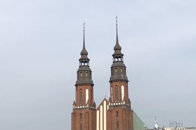 Opolska katedra