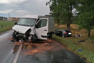 Siedem osób rannych, lądowały trzy śmigłowce. Wypadek pod Lesznem