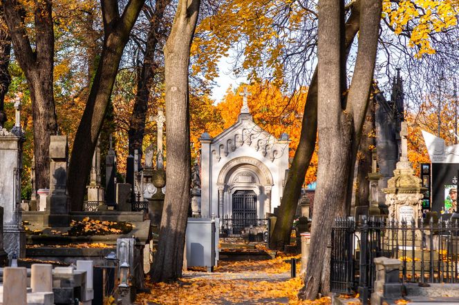 Stare Powązki. Groby architektów