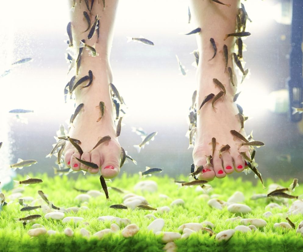 Fish pedicure polega na moczeniu stóp w zbiorniku z wodą wypełnionym małymi rybkami. Egzotyczne rybki peelingują skórę i zdzierają martwy naskórek.