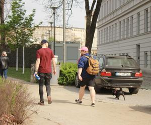 Sezon na Wyspie Słodowej we Wrocławiu oficjalnie rozpoczęty