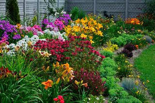 Oryginalne kwiaty na bukiety do domu. Pięknie ozdobią salon. Zastąp nimi goździki czy gerbery