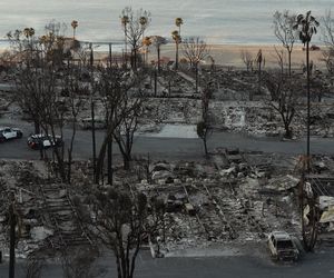 To koniec Los Angeles?! Miasto gwiazd może nie podnieść się po pożarach