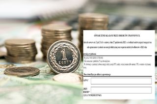 Oświadczenie o tanim prądzie dla firm i gospodarstw domowych - gdzie złożyć? Kto i do kiedy musi je złożyć? Jak złożyć oświadczenie online? 