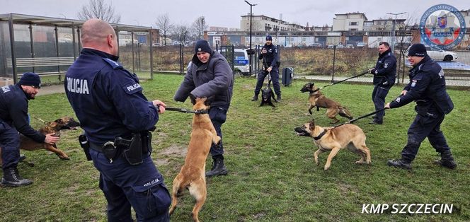 Nowe psy w zachodniopomorskiej policji