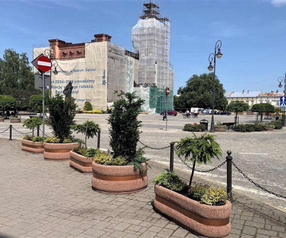 Mniej betonu. Więcej zieleni.  Tak ma być na nowosądeckim Rynku 