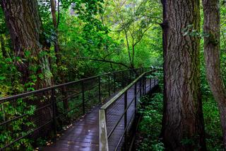 Spacer w koronach drzew Pomiechówek Park Doliny Wkry