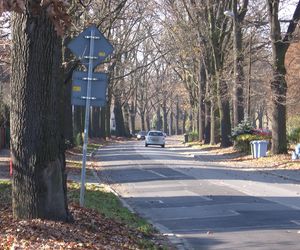 Prośba o galerię - dzielnica Biskupin-Sępolno-Dąbie-Bartoszowice
