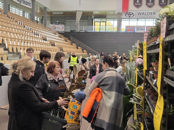 Festiwal Roślin znów zachwycił bydgoszczan! Setki gatunków i wyjątkowa atmosfera