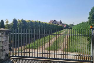 Parafia Domostawa. Ksiądz przelał sobie 2 miliony złotych [GALERIA]