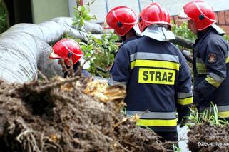 Kilkadziesiąt interwencji strażaków na Podkarpaciu, w środę też mocno powieje!