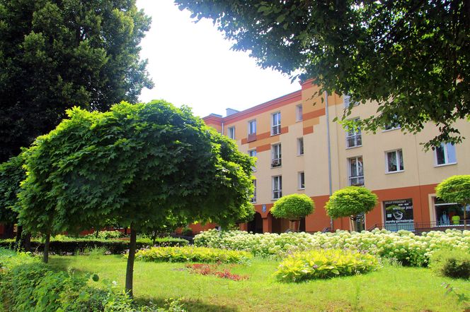 Kraśnik