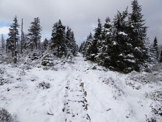 Zima w Karkonoszach! Góry przykryte śniegiem