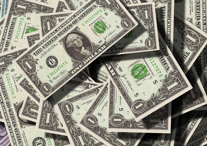 Wyłudzenia z koronawirusem w tle kosztowały już Amerykanów ponad 12 milionów dolarów