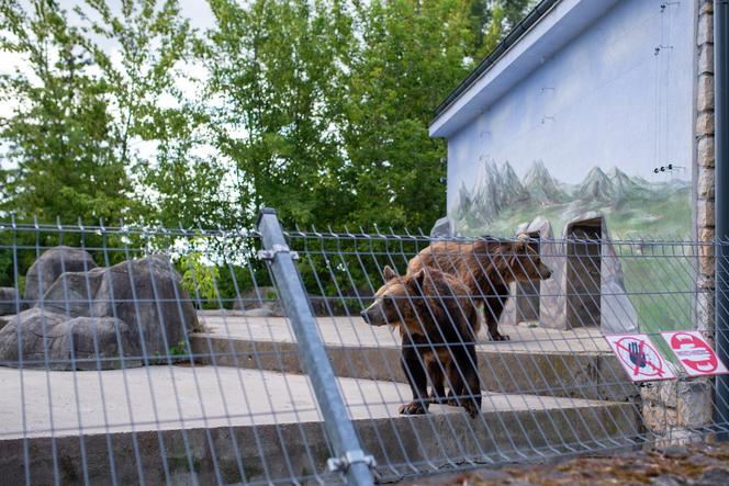 Spacer po zoo w Zamościu