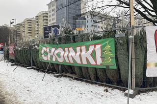 Choinki w Warszawie 2023