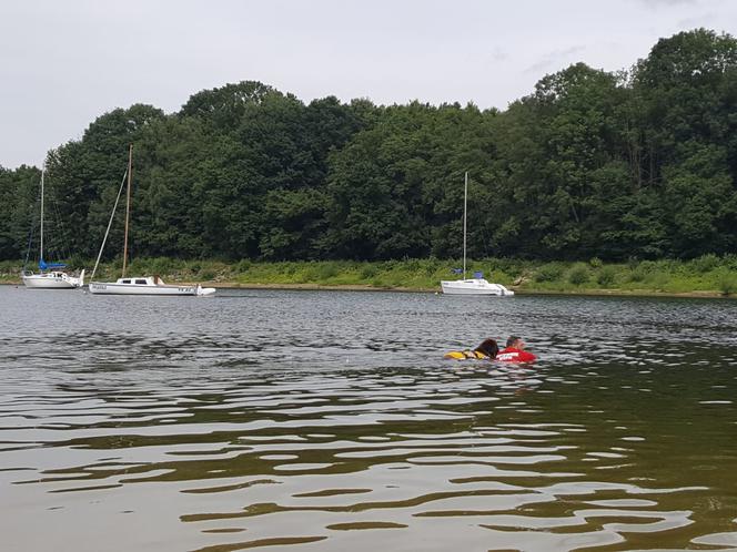 I Festiwal Psów Ratowniczych na plaży miejskiej w Żywcu