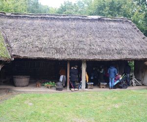 Tak ongiś siekano kapustę w woj. lubelskim. „Obieraczki kapuściane” w Muzeum Wsi Lubelskiej