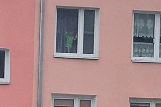 Pijana mama spała w najlepsze. Chłopczyk wspiął się na parapet