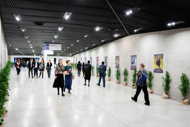 COP 24 w liczbach