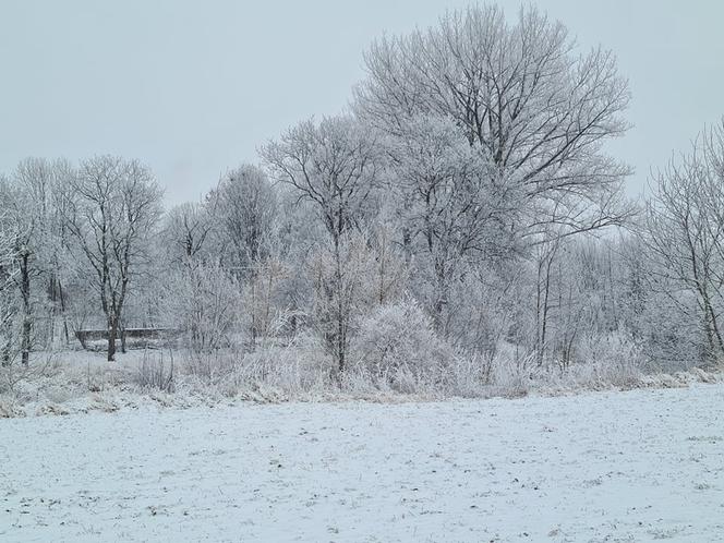 Zima na Podkarpaciu. Niezwykłe krajobrazy [ZDJĘCIA]