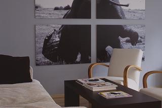 Afrykańskie dekoracje w salonie: zdjęcia na ścianie