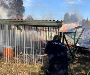 Pożar we wsi Budy. Policjant zauważył dym i ruszył na pomoc