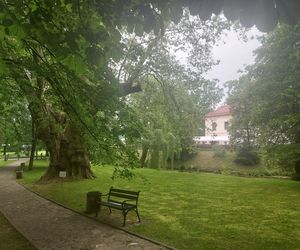 Zamek Dubiecko