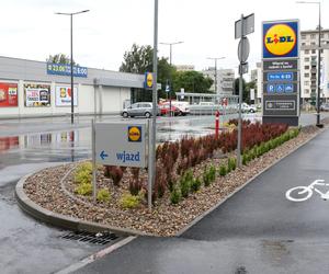 Lidl nagle wprowadził zmiany na parkingach. Klienci mogą być zaskoczeni 