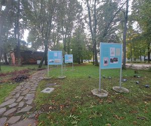 Park Zdrojowy w Krakowie