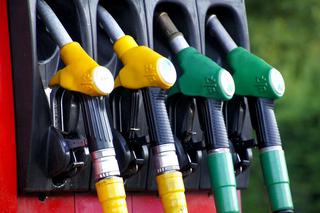 Na stacjach benzynowych już szóstka z przodu. Prognozy cen paliw nie są dobre!