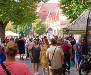 Święto Wojska Polskiego w Szczecinie