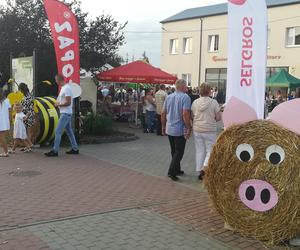 Gmina Siedlce, koncerty na dożynkach w Strzale – zdjęcia 