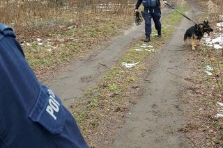 32-latek zasztyletowany pod Łodzią! Jego ciało leżało na drodze [ZDJĘCIA].