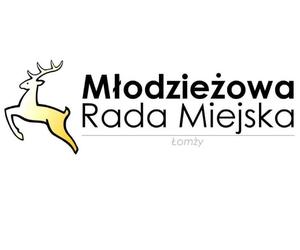 Młodzieżowa Rada Miejska. Łomżyniacy wybiorą swoich reprezentantów 