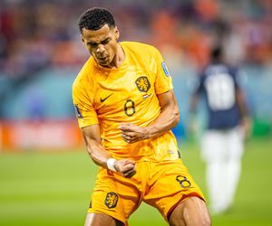 Cody Gakpo - gwiazda Holandii