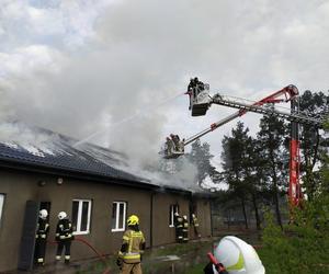 Pożar stolarni pod Nasielskiem