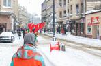 Parada w Mikołajów w Chorzowie na koniec Mikołajowego Festiwalu Czekolady z... owadami